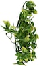 Exo Terra Plastic Terrarium Plant Medium Amapallo