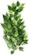 Exo Terra Silk Terrarium Plant Medium Ficus