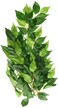 Exo Terra Silk Terrarium Plant Medium Ficus