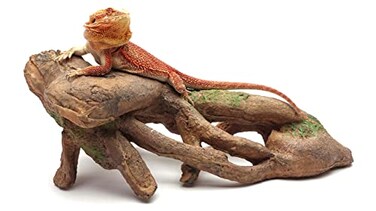 CAROLINACUSTOMCAGES Gnarled Large Root Brown Reptile Habitat Accessory