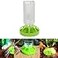 Bilindasly Reptile Feeder ABS Plastic Tortoise Lizard Turtle Food and Water Dispenser Removable Top for Easy Refilling and Cleaning
