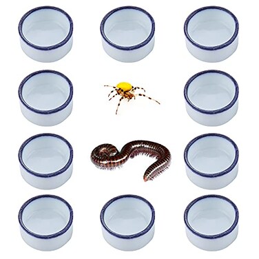 DQITJ 10 Pcs Spider Micro Water Bowl Mini Ceramic Dish for Tiny Reptile Spider Millipede Tarantula Small Size 086 D 043 H