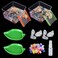 NestBasics 7 Pack Hermit Crab Pool Hermit Crab Water Bowl Dish Hermit Crab Food Bowl Dish Hermit Crab Accessories Starter Kits