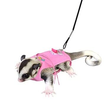 vomvomp Sugar Glider Harness and Leash Set Adjustable Comfort Harness for Sugar Glider Small Animal Training Walking Vest Leash