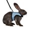 Niteangel Adjustable Soft Harness with Elastic Leash for Rabbits M Blue