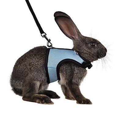 Niteangel Adjustable Soft Harness with Elastic Leash for Rabbits M Blue