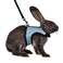 Niteangel Adjustable Soft Harness with Elastic Leash for Rabbits M Blue