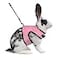 Niteangel Adjustable Soft Harness with Elastic Leash for Rabbits XL Pink