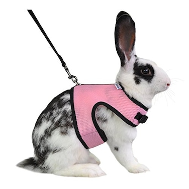 Niteangel Adjustable Soft Harness with Elastic Leash for Rabbits XL Pink