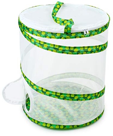 RESTCLOUD Insect and Butterfly Habitat Cage Terrarium Popup 12 x 14 Tall