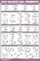 Palace Learning Half Balance Ball Workout Poster Exercise Chart LAMINATED 18 x 24