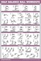 Palace Learning Half Balance Ball Workout Poster Exercise Chart LAMINATED 18 x 24