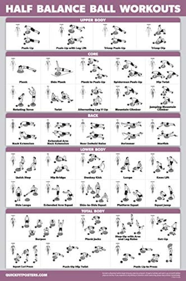 Palace Learning Half Balance Ball Workout Poster Exercise Chart LAMINATED 18 x 24