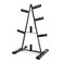CAP Barbell Olympic 2Inch Plate Rack