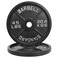 BalanceFrom Rubber Coated Cast Cast Iron Plate Weight Plate for Strength Training and Weightlifting Olympic 10Pound Single