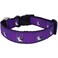 All Star Dogs NCAA Northeastern Huskies Dog Collar Medium