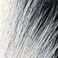 Hareline Fly Tying Large Northern Bucktail White