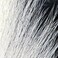 Hareline Fly Tying Large Northern Bucktail White