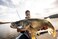 Rapala Walleye Boom Box Walleye Lure Selection Includes 7 HandPicked baits Plus 1 Bonus Item Featuring Trusted Brands Like Rapala VMC Crush City Sufix and Storm