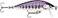 Rapala Countdown Elite 55 Gilded Iwana