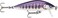Rapala Countdown Elite 55 Gilded Iwana