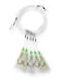 End Game Deep Drop Rig 5 Hook