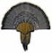 HUNTERS SPECIALTIES Strut Turkey Tail Beard Mounting Kit Durable Easy To Assemble Trophy Mount Kit With Hardware Included