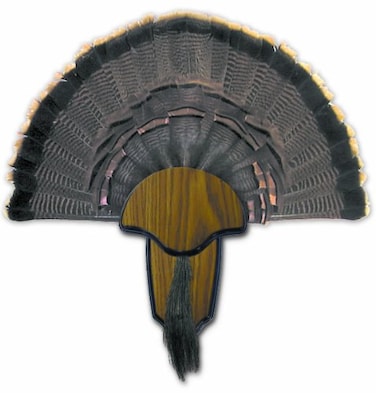 HUNTERS SPECIALTIES Strut Turkey Tail Beard Mounting Kit Durable Easy To Assemble Trophy Mount Kit With Hardware Included