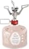 MSR PocketRocket 2 Ultralight Camping and Backpacking Stove