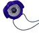 Nautos IRIS 50 Hand Bearing Compass Blue