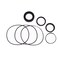 REPLACEMENTKITS.COM REPLACEMENTKITSCOM Rebuild Seal Kit Compatible with 50 Series Hynautic Steering Helms Replaces HS05