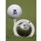 Tin Cup The Jolly Roger