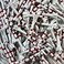 Champ 234 My Hite FLYtee WhiteRed Stripe Golf Tee 100 Count