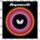 Butterfly Dignics 05 21 Black