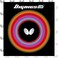 Butterfly Dignics 05 21 Black