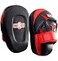 Ringside Pro Punch Mitts RedBlack