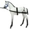 Tough 1 Foal Training Device