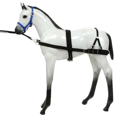 Tough 1 Foal Training Device
