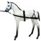 Tough 1 Foal Training Device