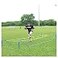 Pro Down Replacement Grid for High Step Agility Trainer