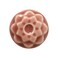 AMACO Celadon C50 Cherry Blossom Pink High Fire Transparent Gloss Glaze Pint 16 oz 473 mL 100 Mixable MidHigh Fire Cone 56 C Liquid Ceramic Pottery Glaze for Bisque