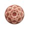 AMACO Celadon C50 Cherry Blossom Pink High Fire Transparent Gloss Glaze Pint 16 oz 473 mL 100 Mixable MidHigh Fire Cone 56 C Liquid Ceramic Pottery Glaze for Bisque
