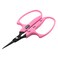 Saboten Cactus grape scissors handle large narrow sled B1 MFPB japan import