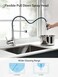 LUFEIDRA Kitchen Faucet with Pull Down Sprayer High Arc Single Hole Single Handle Kitchen Sink Faucet with Sprayer for RV Camper Brushed Nickel