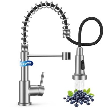 LUFEIDRA Kitchen Faucet with Pull Down Sprayer High Arc Single Hole Single Handle Kitchen Sink Faucet with Sprayer for RV Camper Brushed Nickel