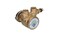 Jaetheria FLUIDOTECH ROTOFLOW PA104 ROTARY PUMP 38 100LH NPT COFFEE FLUID O TECH SPAZIALE SIMONELLI