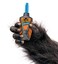 Gorilla Micro Precise Super Glue 5 Gram Clear Pack of 1