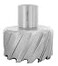 Accusize Industrial Tools HSS Annular Cutter 3 Dia 1 Cutting Depth 114 Weldon Shank ANSI Standard 20802053
