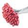 EASY 50 Numbered Steel Cable Security Seals Metal Wire Tamper Seals Pull Tight Cable Tie for Containers Red
