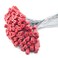 EASY 50 Numbered Steel Cable Security Seals Metal Wire Tamper Seals Pull Tight Cable Tie for Containers Red